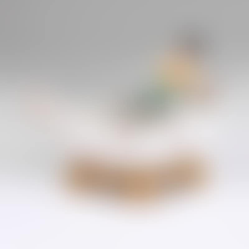 Extraordinary spice container as a ship (Navicella) (preview)
