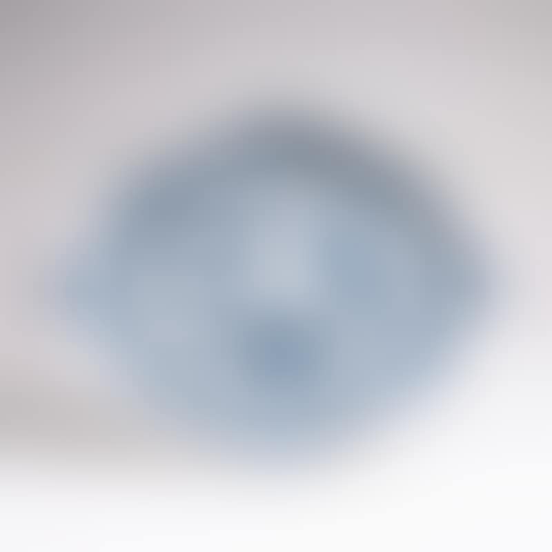 Tray in early "onion pattern" decor (preview)