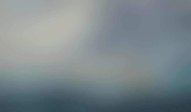 Portrait of the steamship Helene Menzell with a pilot boat (preview)