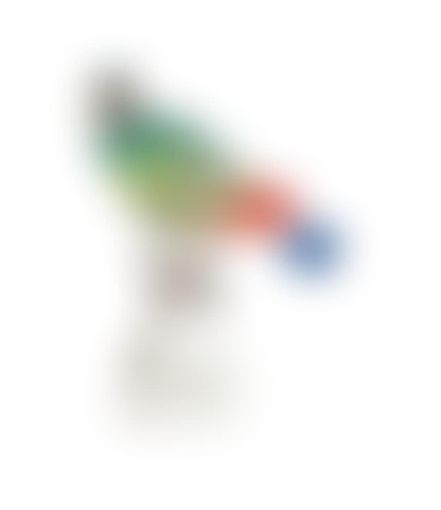 Bird figure "Parrot" (preview)
