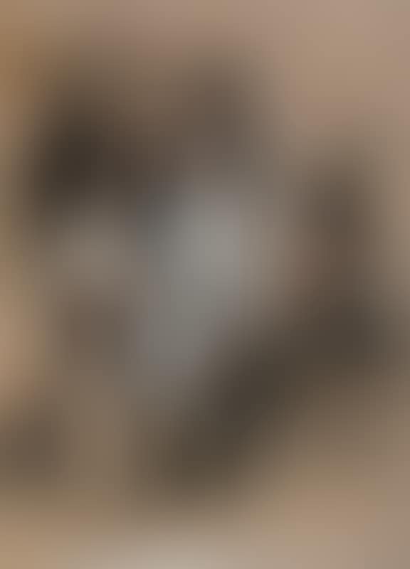 In the boudoir (preview)