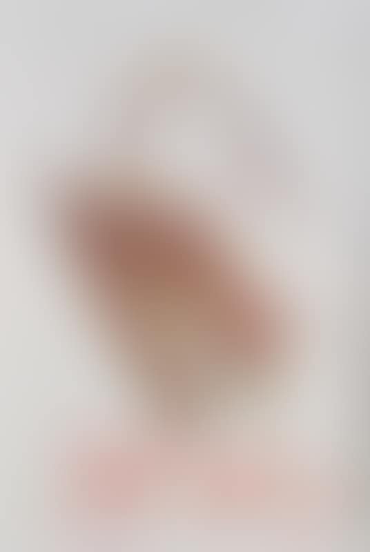 Swan (preview)