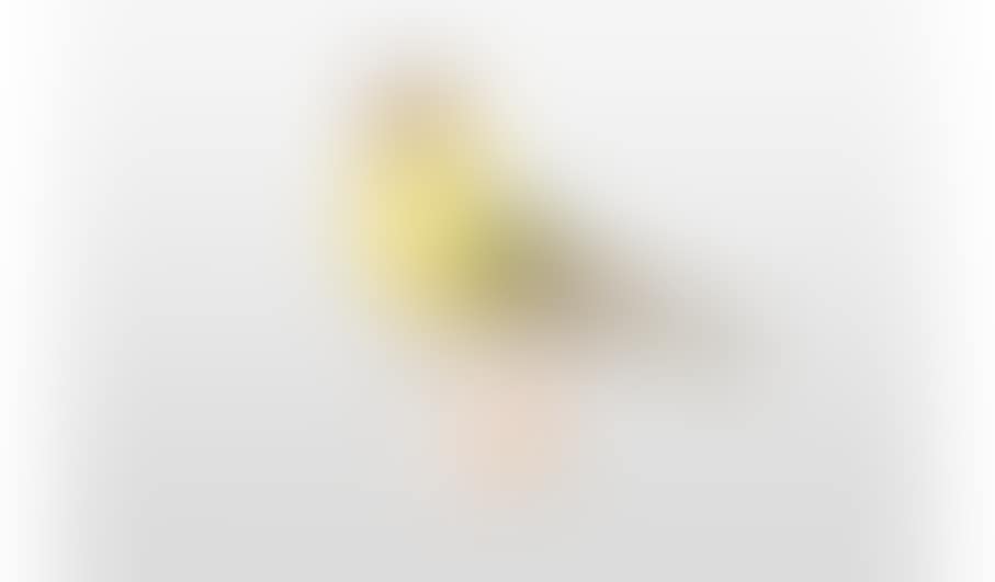 Animal figure "siskin" (preview)