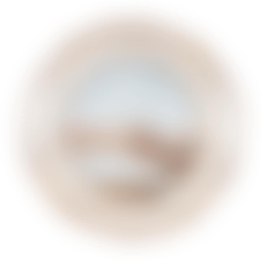 Views plate with Dresden Elbe panorama (preview)