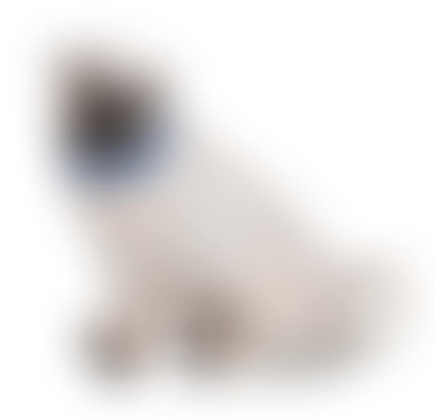 Animal figure "Pug" (preview)