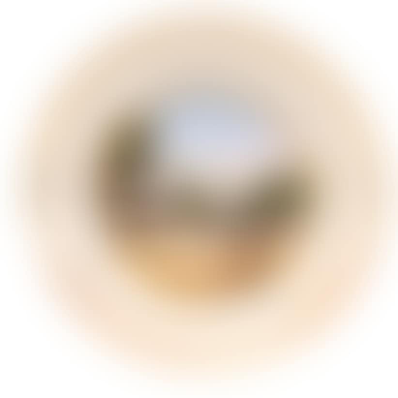 View plate "Jungfernstieg with Alster pavilion" (preview)