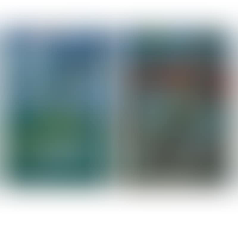 Southern scenery and scenery with birds (preview)