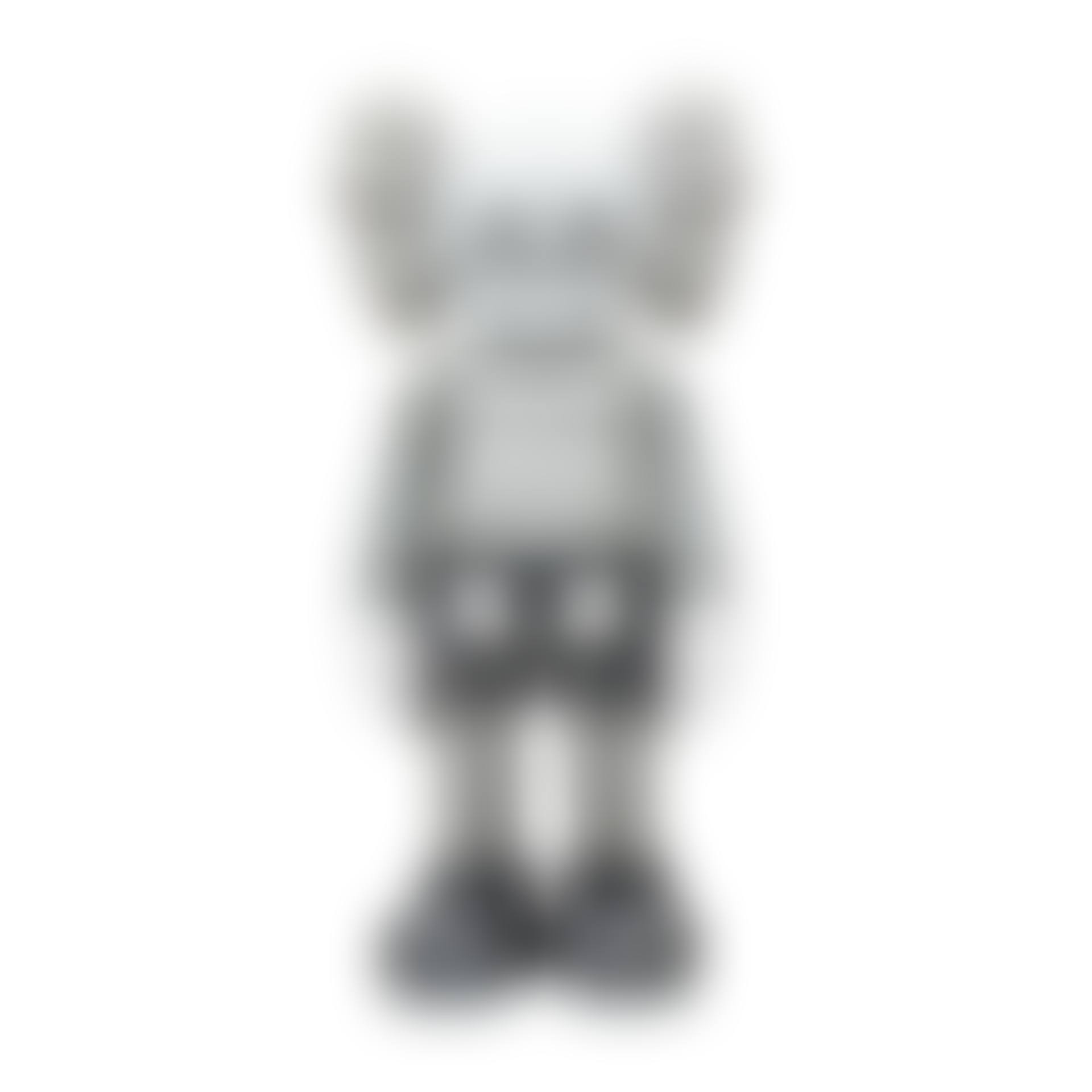 Companion 4ft-Grey (preview)