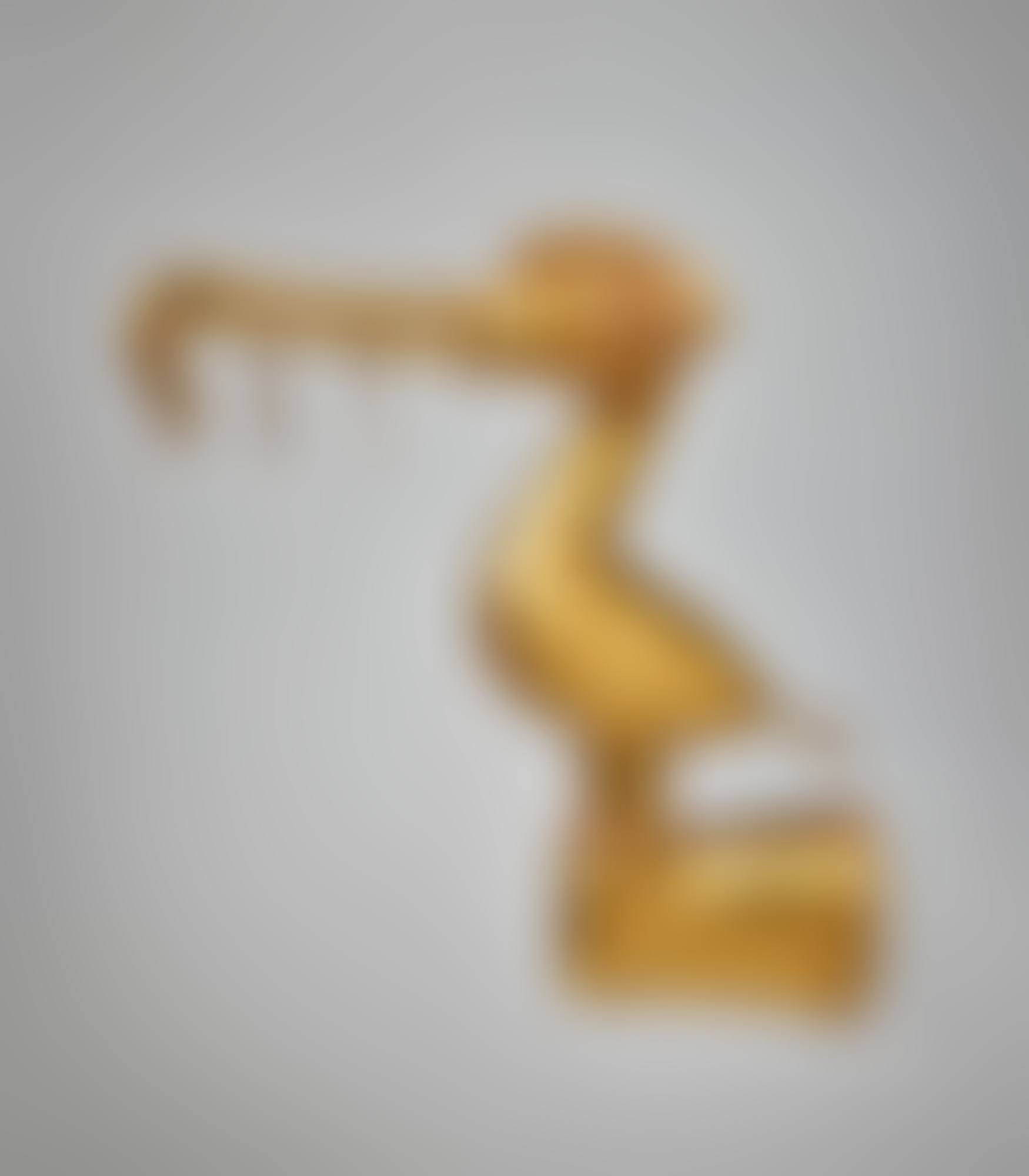 Sinú Gold Toucan Finial (preview)