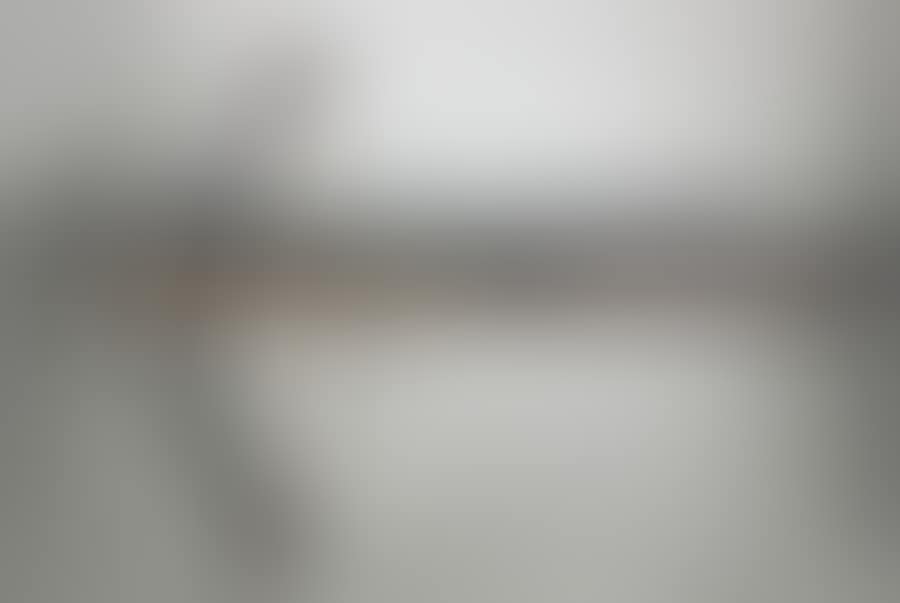 Rare and beautiful shooting crossbow (preview)