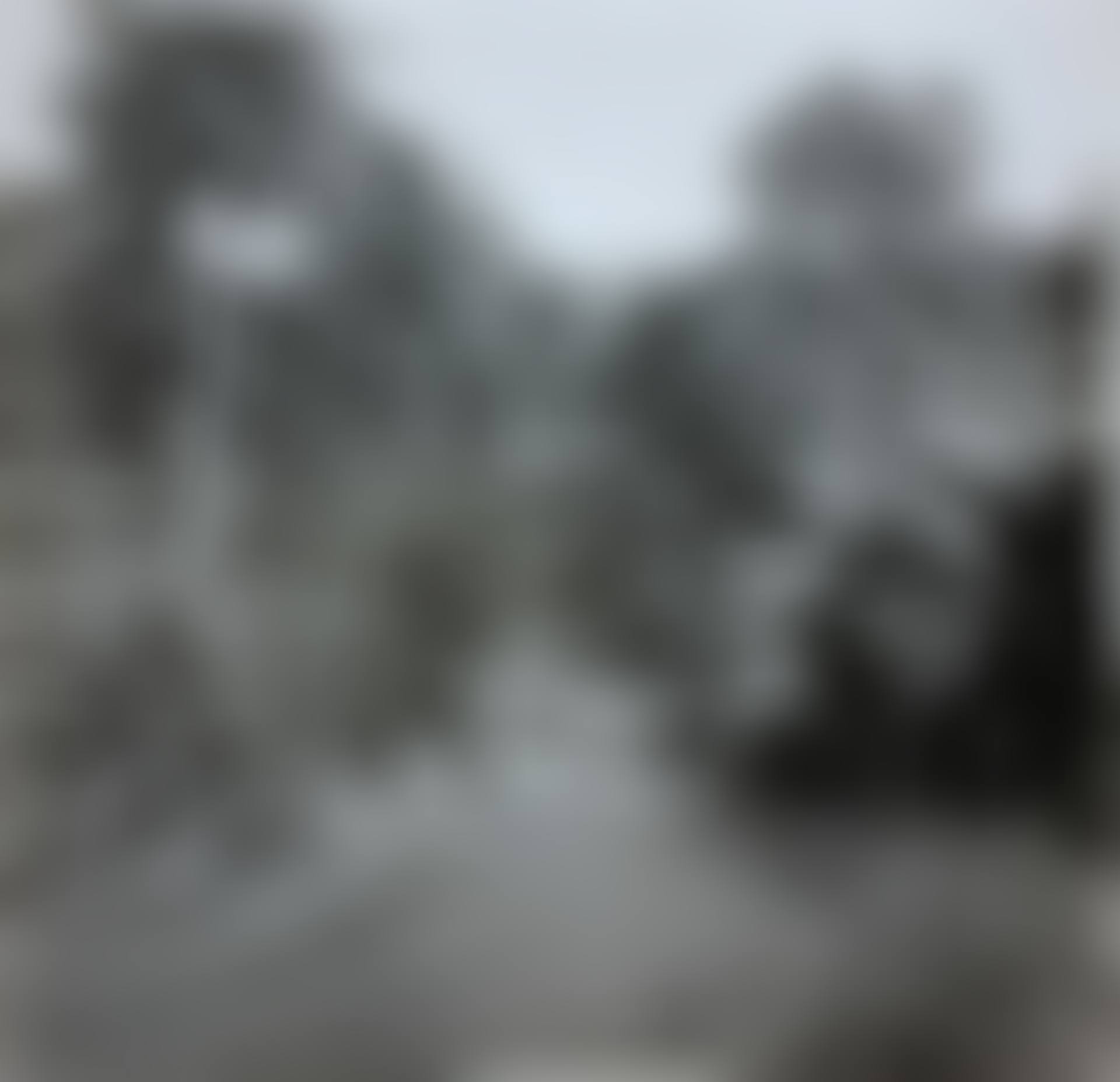 Eleven silver prints concerning Guadeloupe including the surroundings of Gourbeyre (preview)