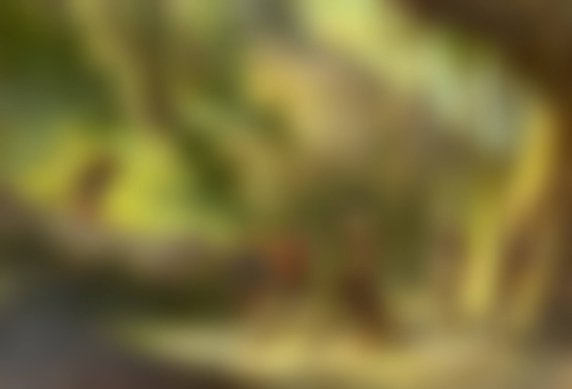 French soldiers on mission in New Caledonia (preview)