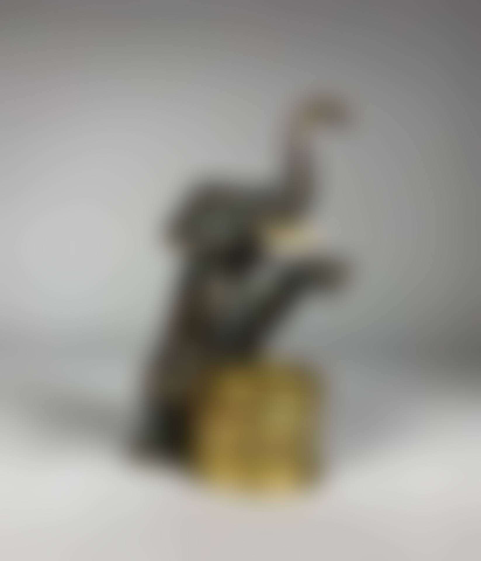 Circus elephant. (preview)