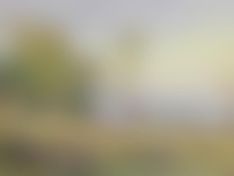 Peasant scene. (preview)