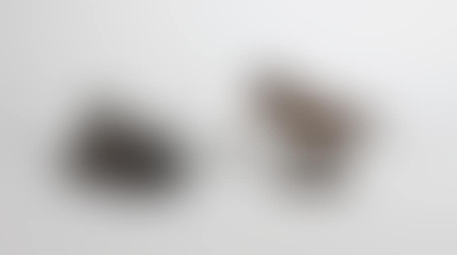 Two woodcocks (preview)