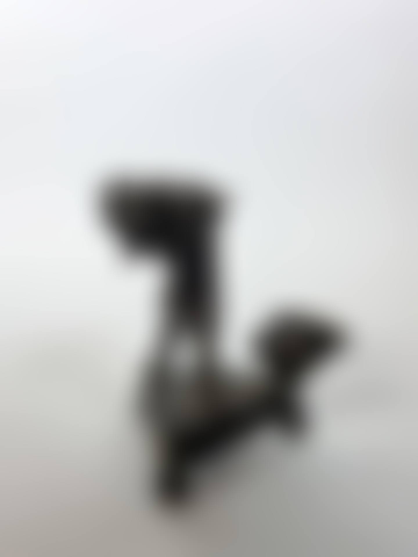Carrier of shells. (preview)