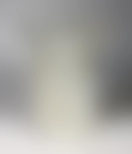 Eucalyptus vase (preview)