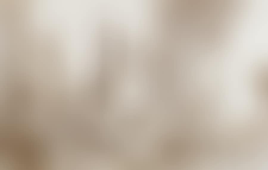 Oriental garden. View of Cairo. (preview)