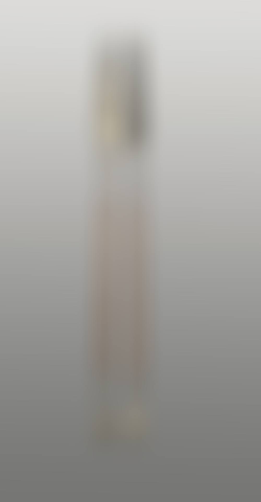 Two assegais (preview)