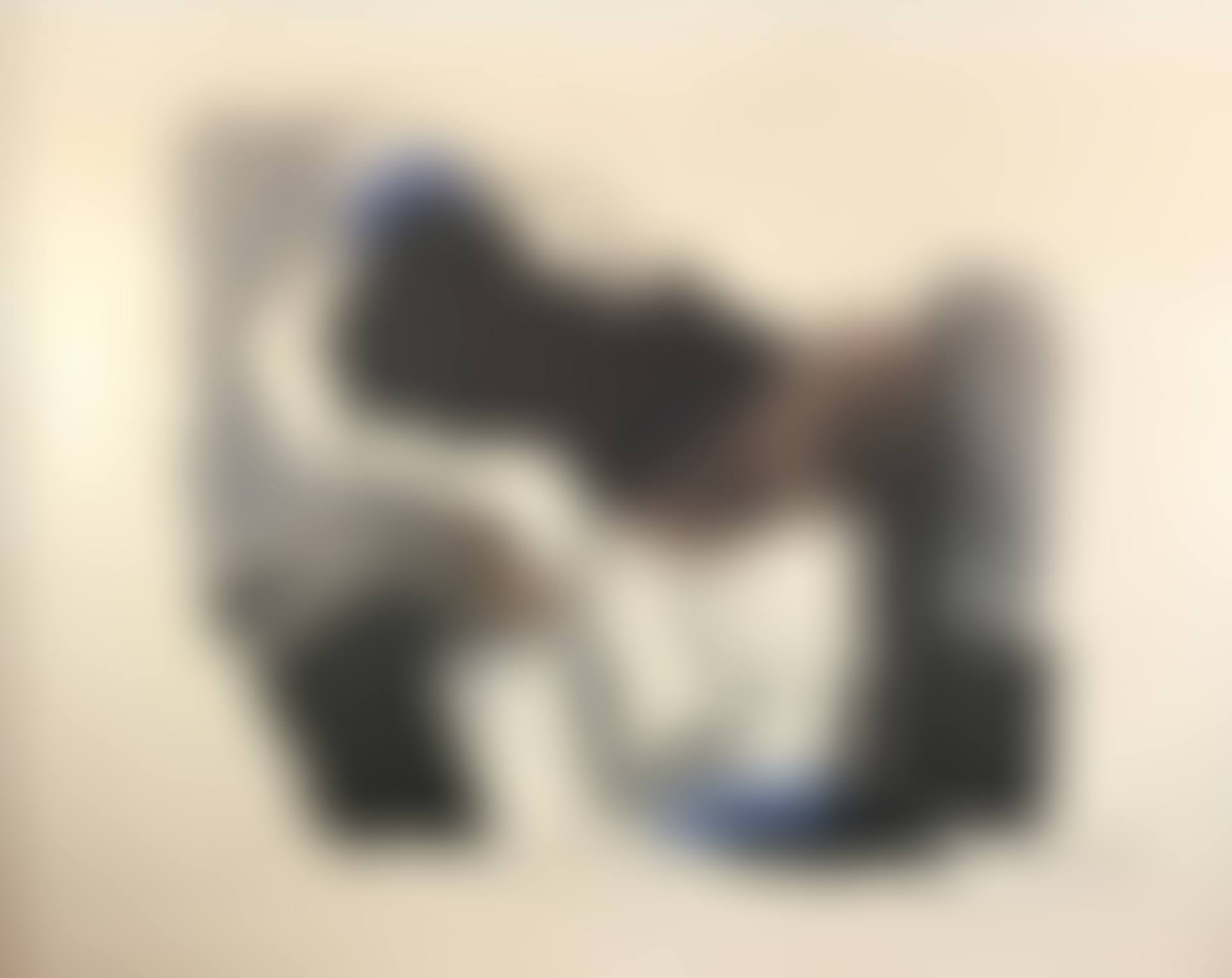 Mother Teresa. (preview)