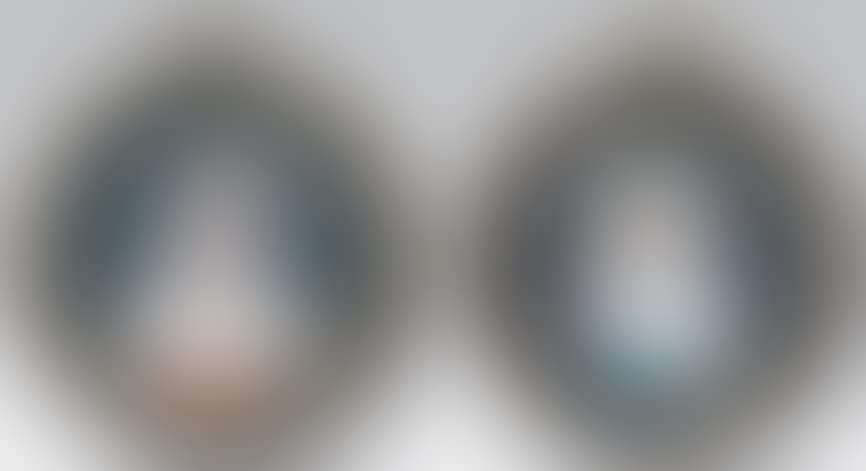 Portraits of elegant women (preview)