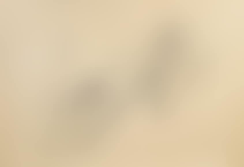 Nude from 1963 (preview)