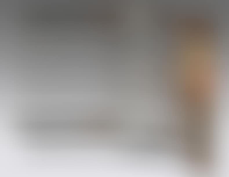 Hunting rifle (preview)