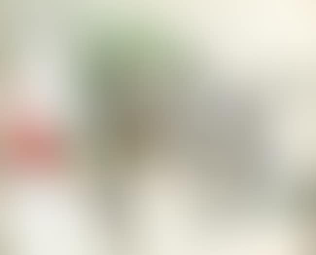 20th century landscape (preview)
