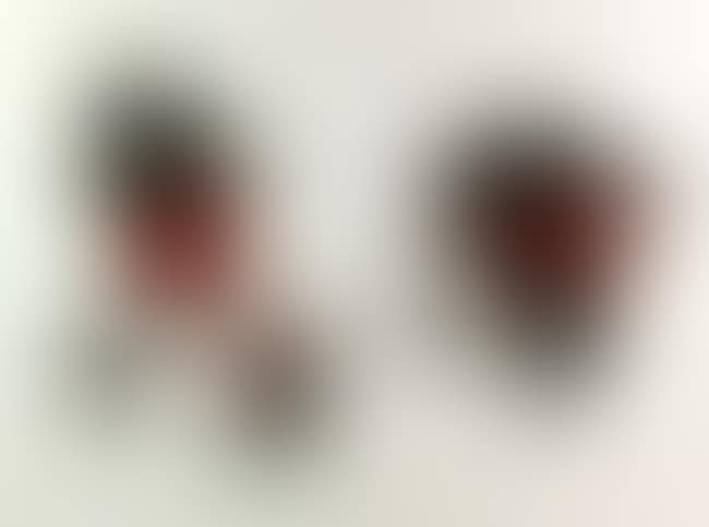 Description (preview)