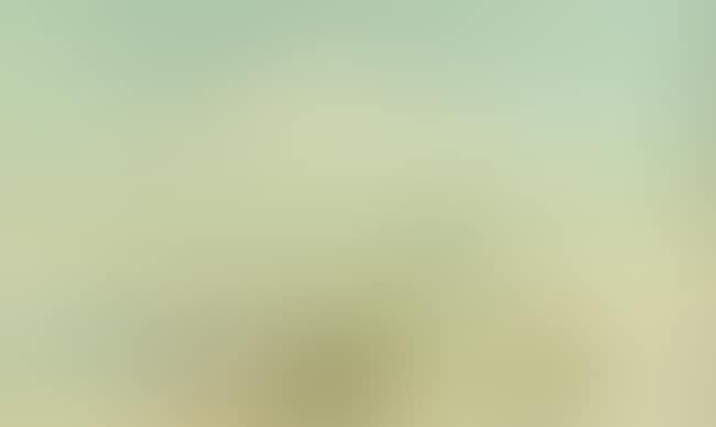 20th Century beach scene (preview)