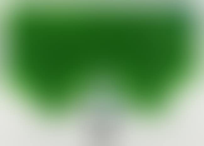 "Green Darkness" (preview)