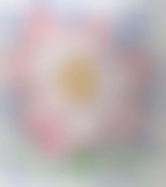 Flower of Hands (preview)