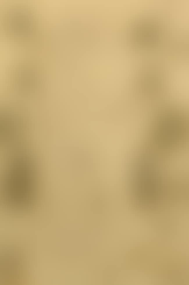 untitled, depiction of an anthropomorphic ape and a nude woman with trees to background (preview)