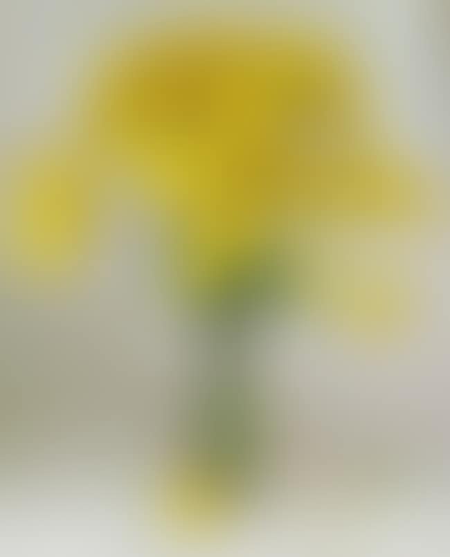 still life chrysanthemums in a glass vase (preview)