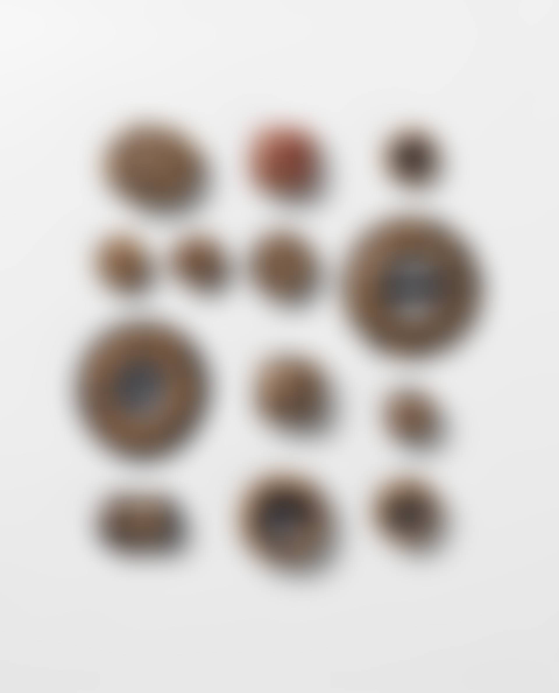 Thirteen buttons and brooches (preview)