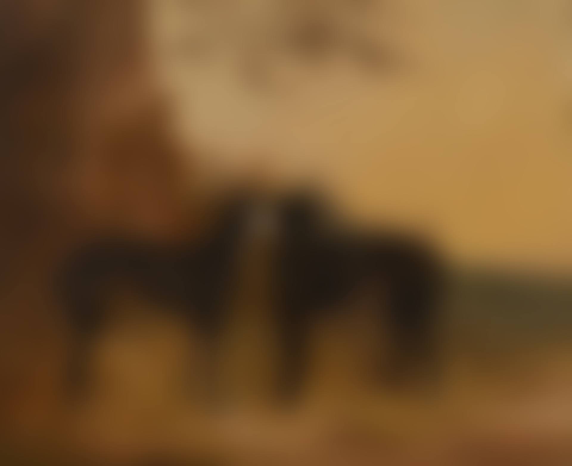 Greyhounds (preview)