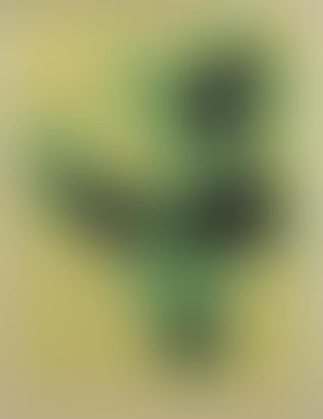 Fouille Pour Clients Interresses (preview)