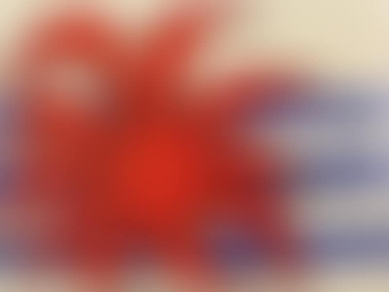 Sun and Sea (preview)