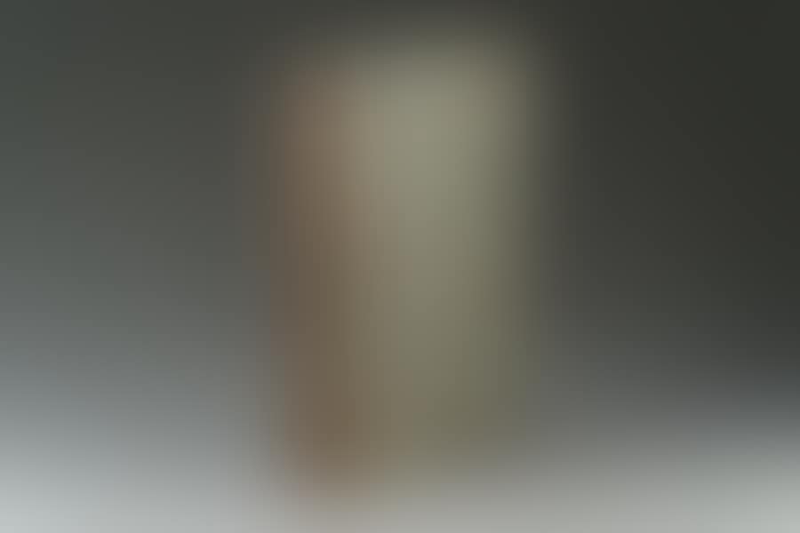 The satiricon (preview)