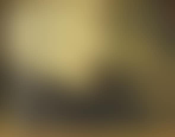 Landscape. (preview)