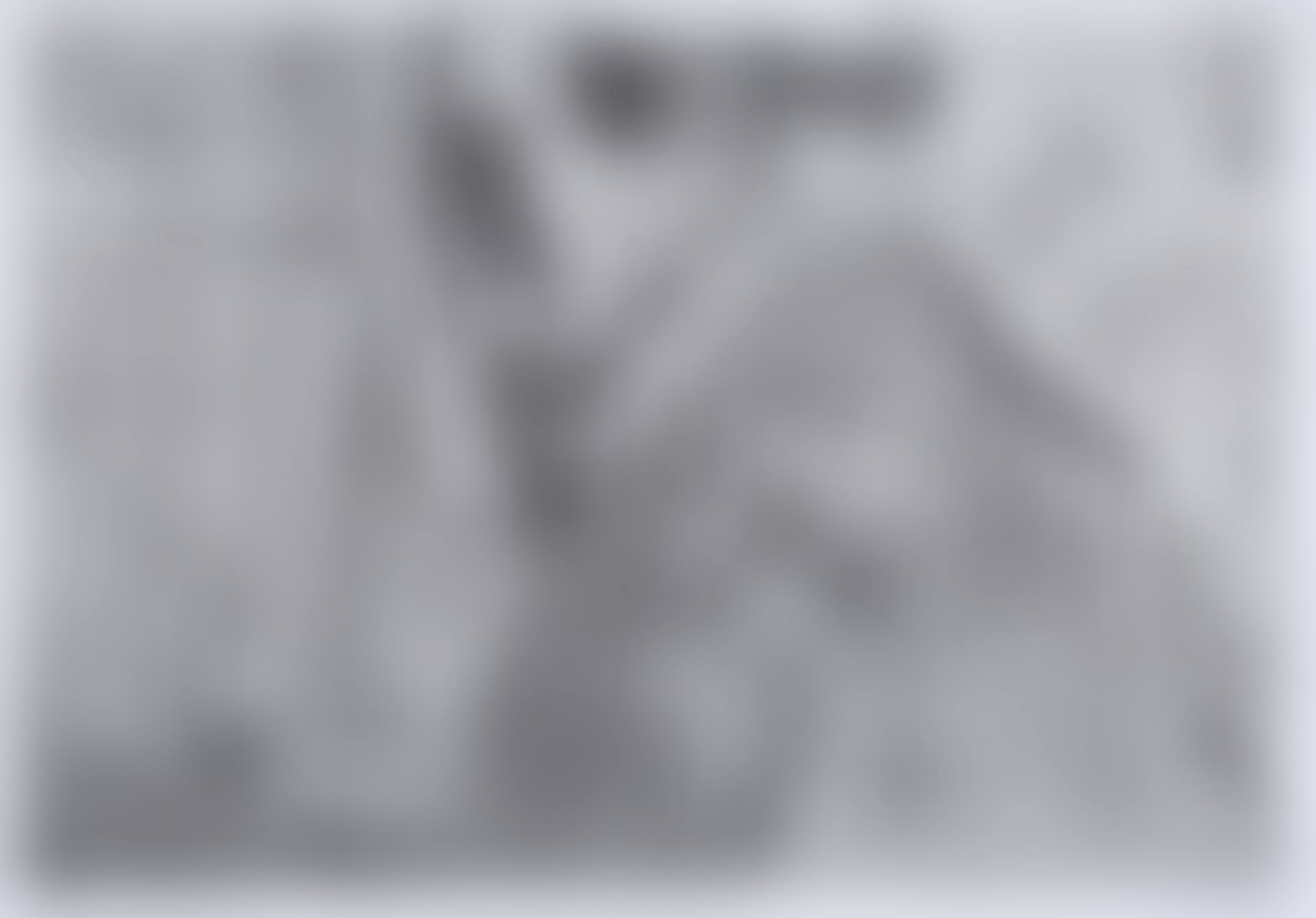 Portrait of Theo Van Ryselbergh (preview)