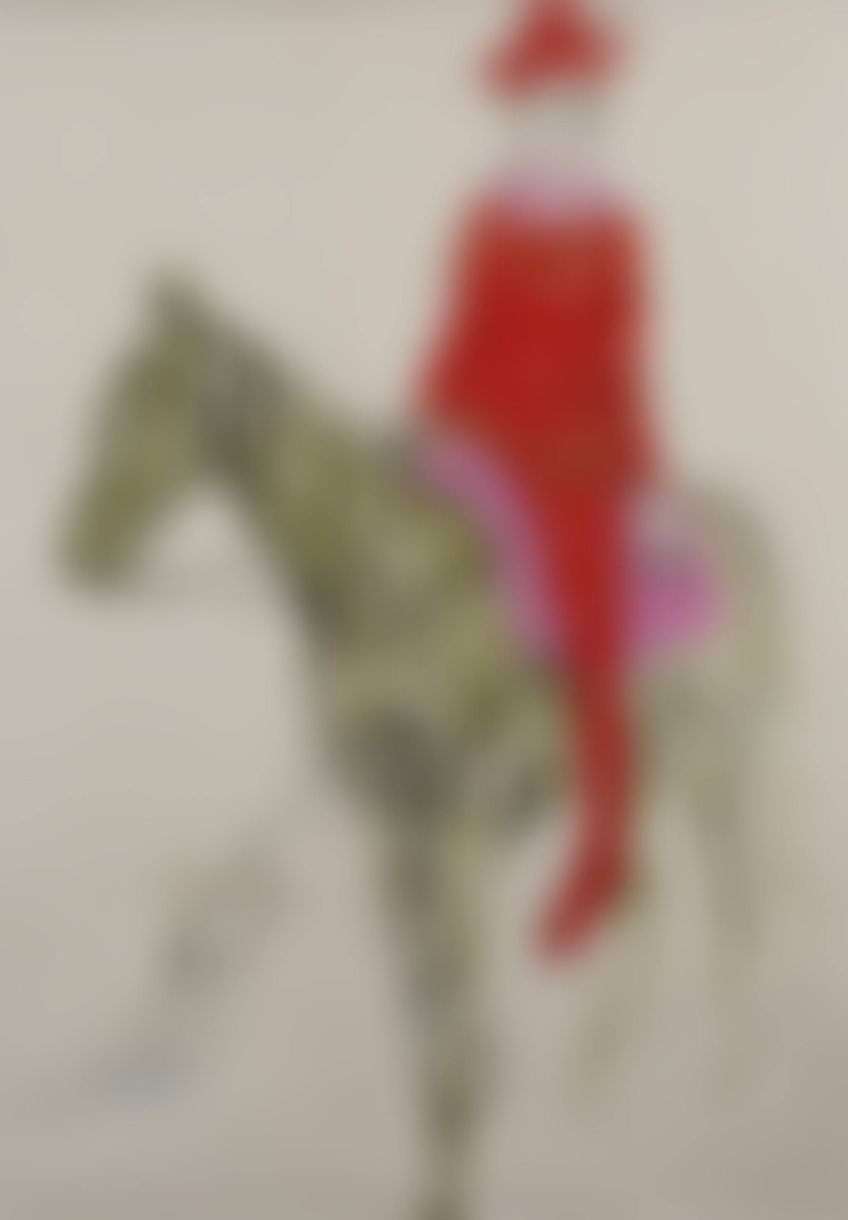 Harlequin on Horseback (preview)