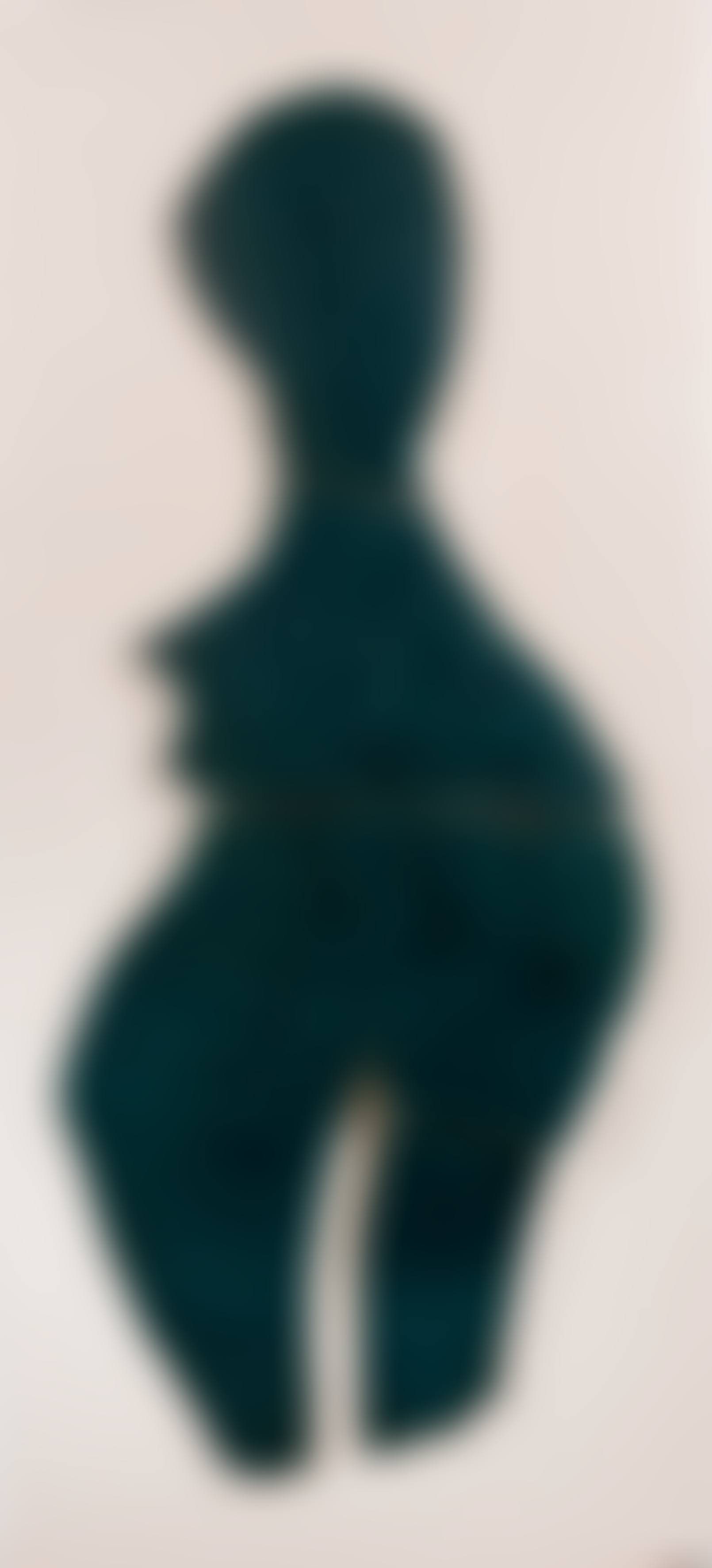 Torso (preview)