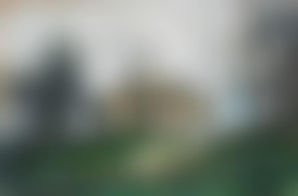 A dacha in woodland surrounding (preview)