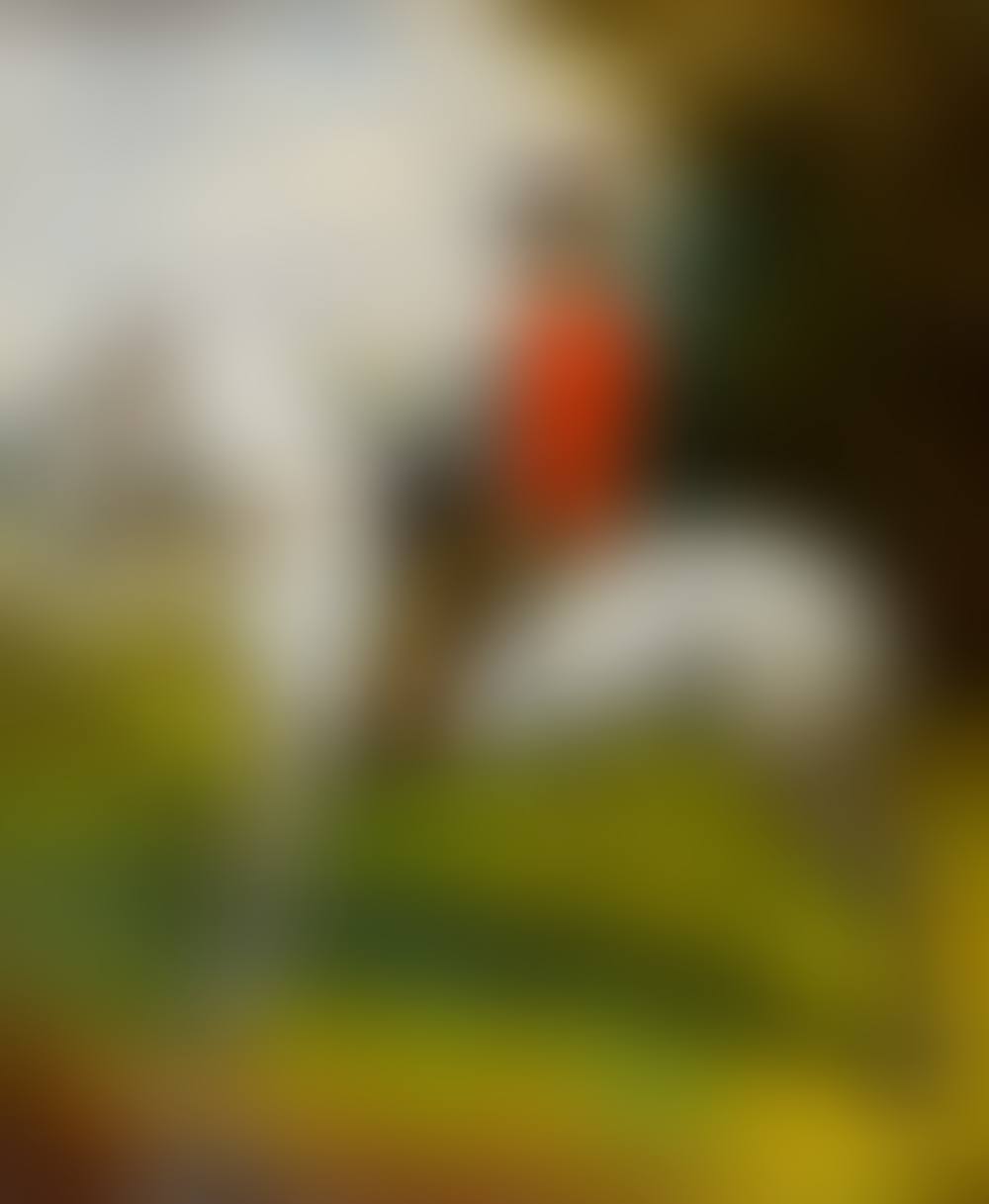 A DECORATIVE OVER PAINTED PHOTOGRAPH depicting a Victorian cavalryman upon a horse in a landscape (preview)