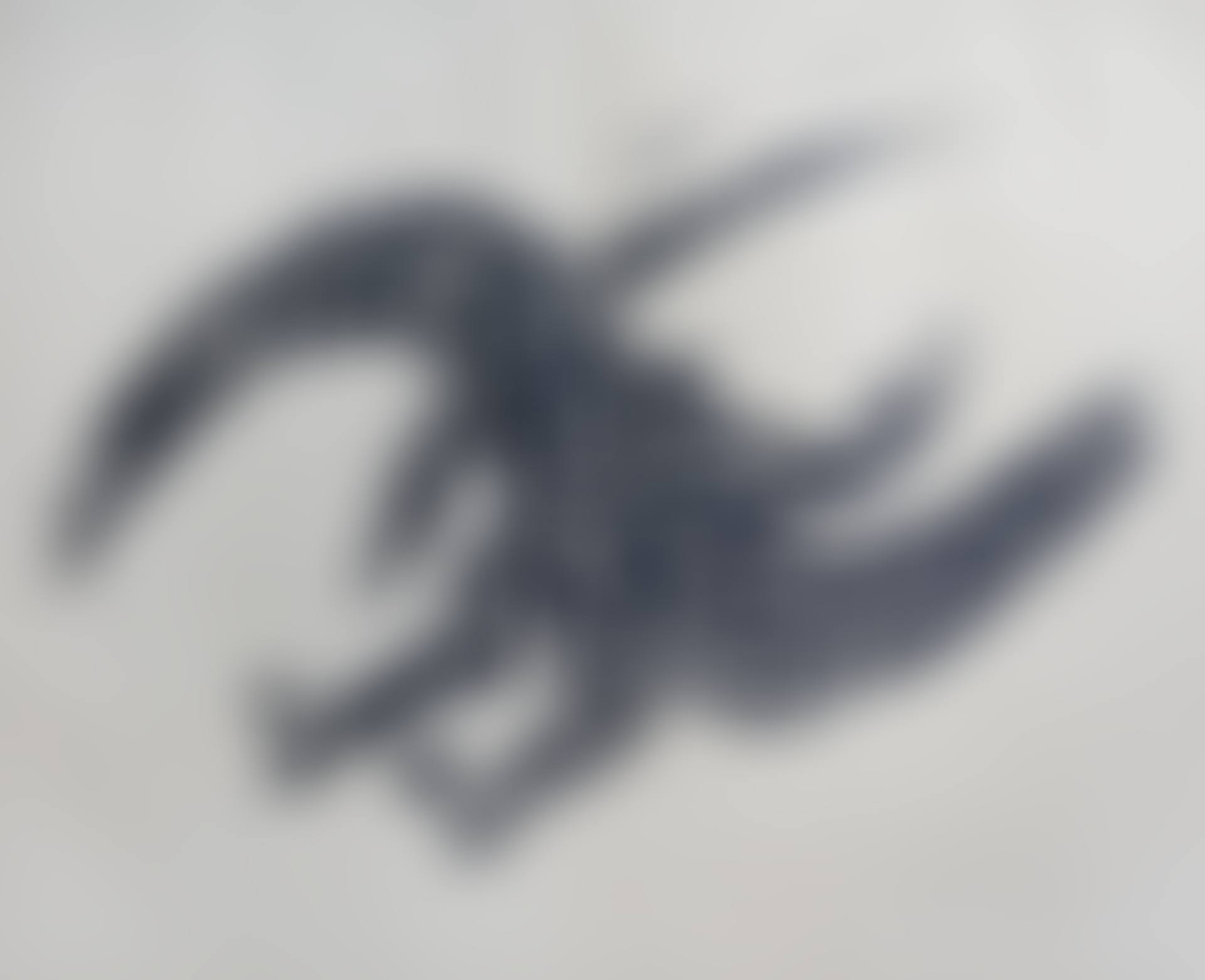 Bird form (preview)