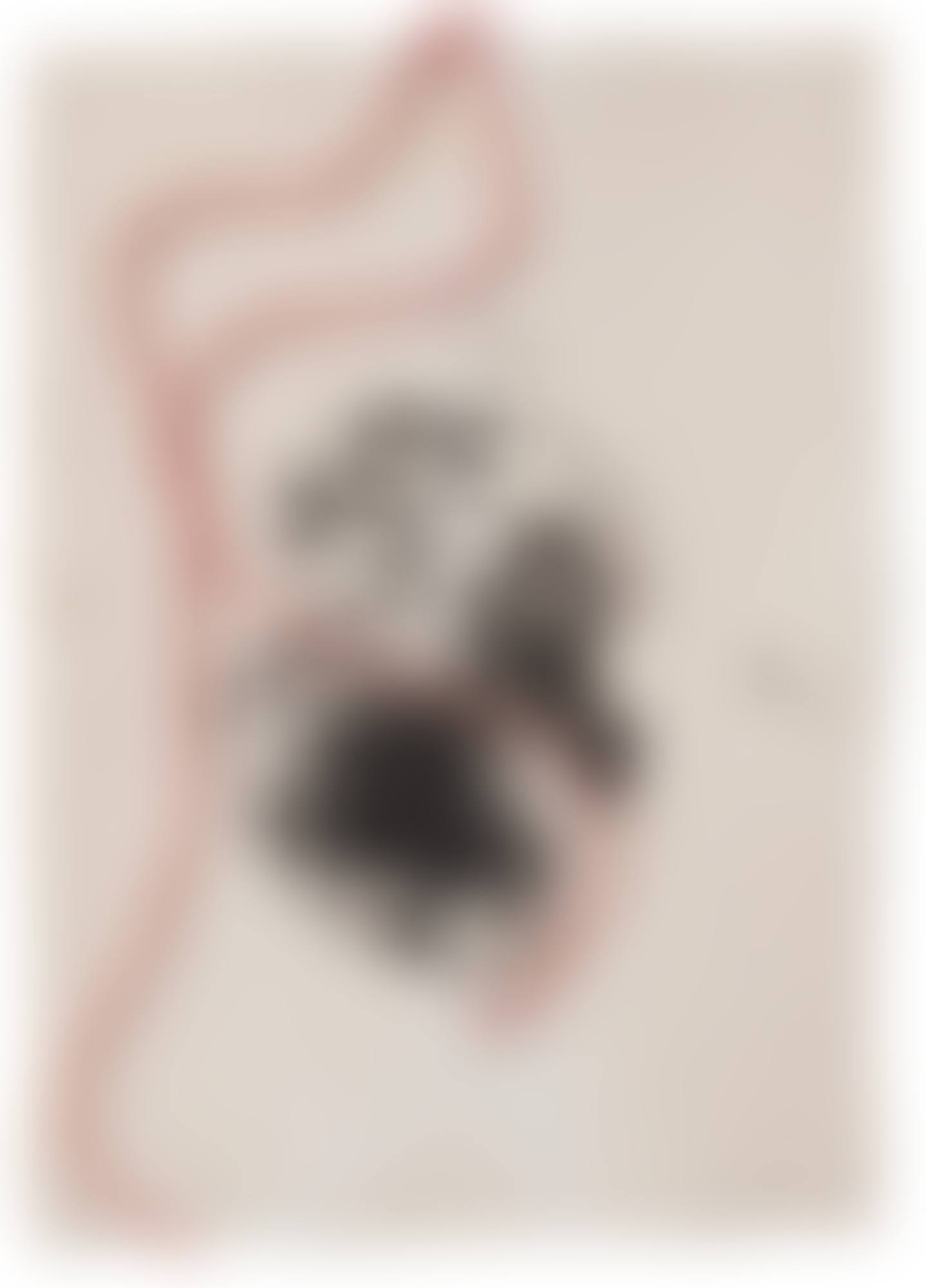 "Scapula" (preview)