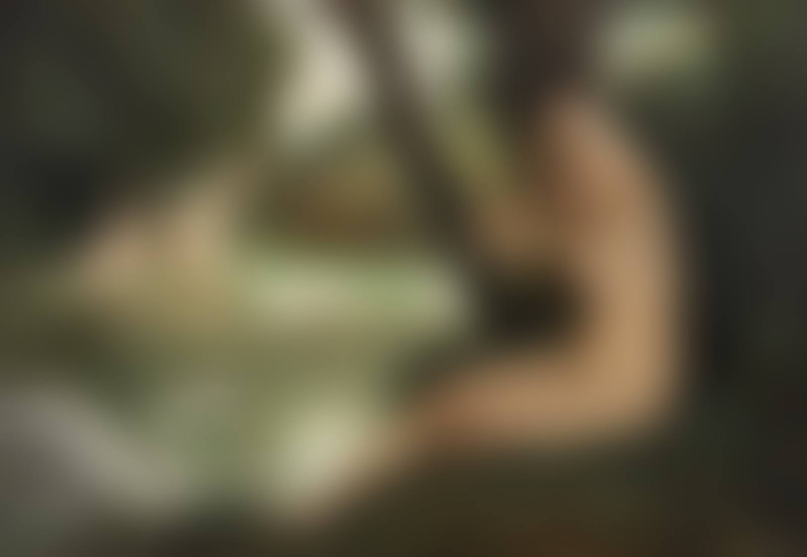 Leda and the Swan (preview)