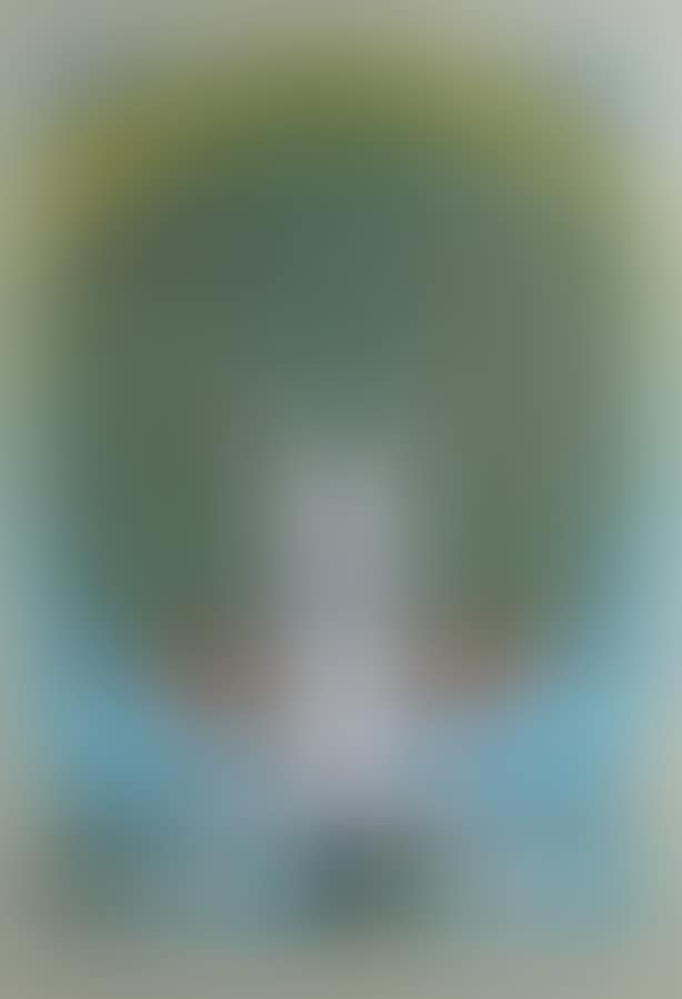 Sonnenstern 11.9.1972 80 birthday (preview)