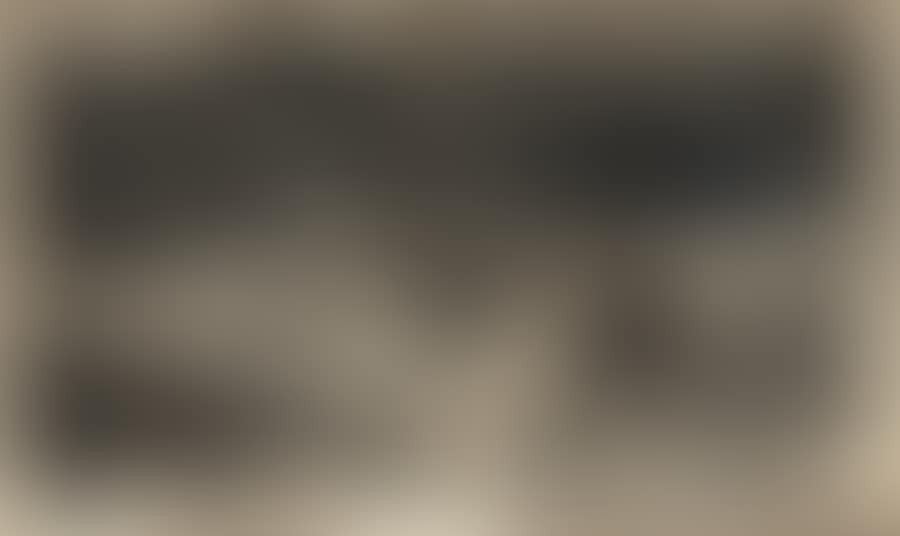 Vergewaltigt (preview)